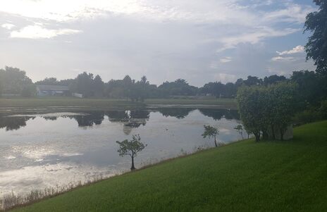 Drainage improvement landscape and water management area